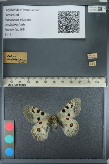 Media type: image;   Entomology 174370